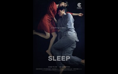 SDAFF 2023 Sleep