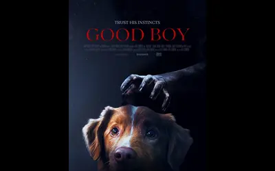 Good Boy