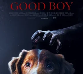 Good Boy